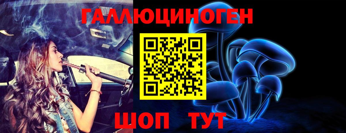 Галлюциногенные грибы Cubensis Коряжма