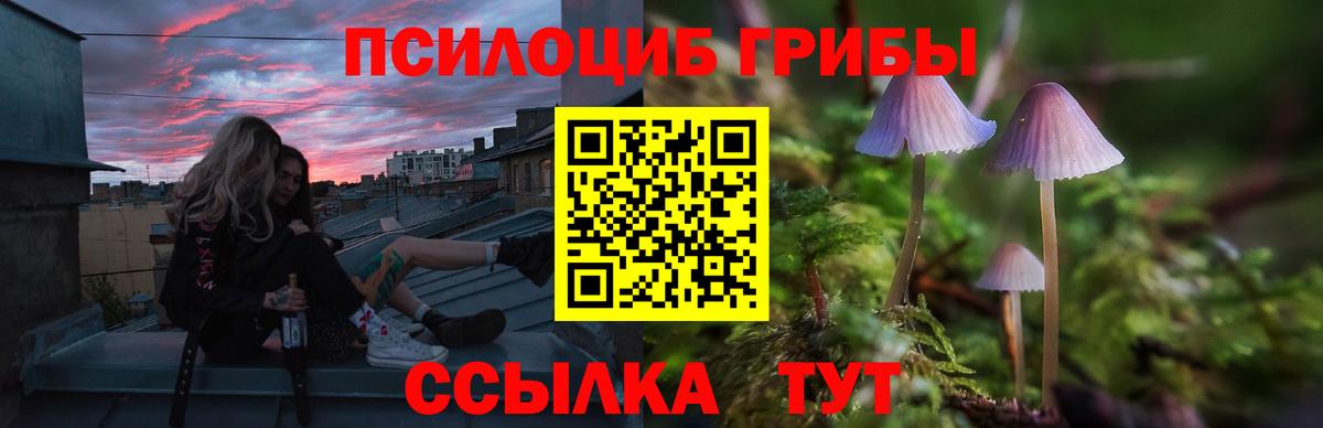 Галлюциногенные грибы Psilocybe  Вход с VPN  где купить наркоту  Псилоцибиновые грибы Cubensis  Коряжма 