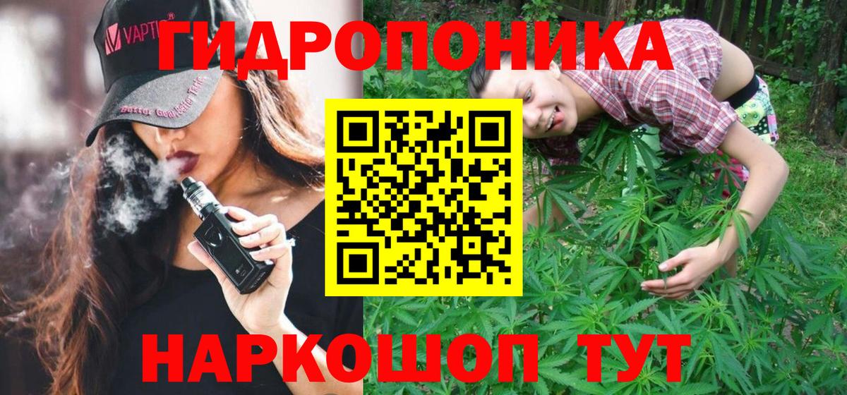 Бошки Шишки сатива  Вход с VPN  Канабис MAZAR  Коряжма  Шишки марихуана гибрид 